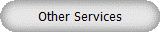 Other Services